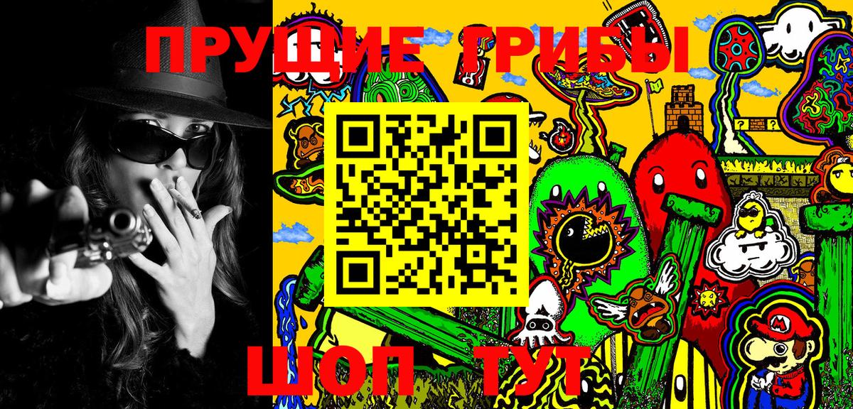 Псилоцибиновые грибы Psilocybe  Вход с VPN  Назрань 